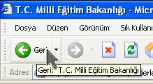 2. Web de Dolaşma Web tarayıcı yazılımını kullanırken, bir web sayfası yüklendikten sonra, fareyi ekranın üzerinde gezdirdiğinizde, bağlantısı olan dokümanların üzerine gelindiğinde ekrandaki imlecin