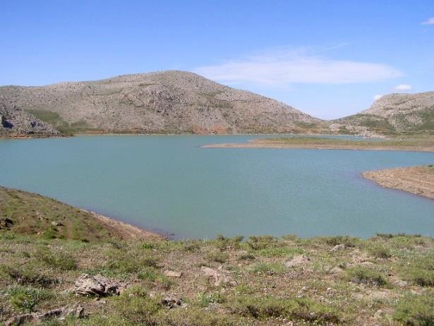 BOZKIR SRIOT GÖLÜ NÜN HİDROJOLOJİK V HİDROBİYOLOJİK ÖZLLİKLRİ 1209 Göl ve rezervuarlar: İnceleme alanı içerisinde birçok tabii göl, baraj ve su rezervuarları bulunmaktadır.