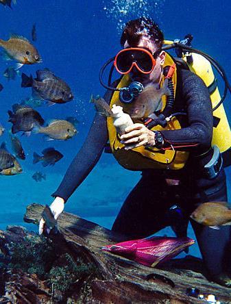 5. Su Altı Dalış Turizmi Saros Körfezi, 144 çeşit balık, 78 tür deniz bitkisi ve 34 tür süngere evsahipliği yapan, su altı zenginlikleri ile dolu ve
