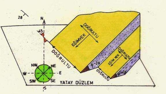 Tabakanın