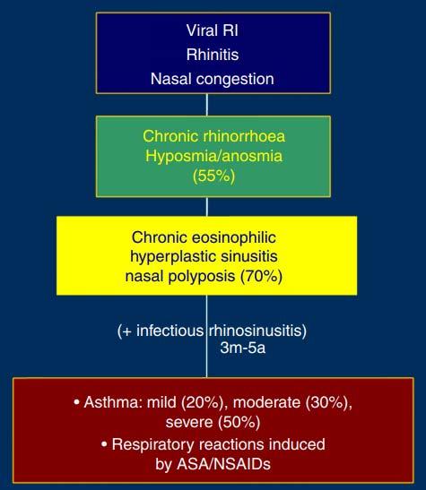 N-ERD Klinik Özellikler Orta yaş kadınlarda sık Atopi: 1/3-1/4 Eozinofilik astım tipikdir Astımları sıklıkla ağırdır!