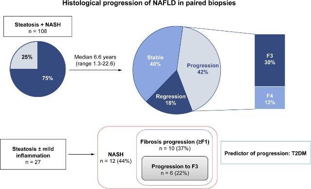 NAFLD da histolojik progresyon McPherson et al. J Hepatol.