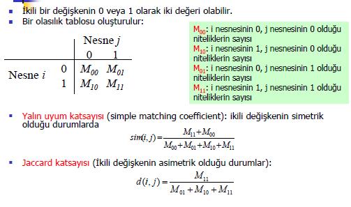 İkili Değişkenler