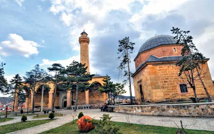 Üniversitenin yıllık eğitim-öğretim programını ve takvimini inceleyerek karara bağlamak, Bir sınava bağlı olmayan fahri akademik unvanlar vermek ve fakülte kurullarının bu konudaki önerilerini karara