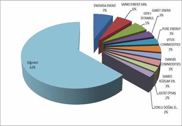 Şirket Bazında Dağılımı ve İlk 10 Şirketin Payı (%) 12 2017