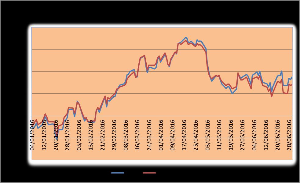 BÖLÜM D: FON PERFORMANSINA İLİŞKİN BİLGİLER 01 Ocak 2016 30 Haziran 2016 tarihleri aralığında fonun birim pay değeri %8,70 artış göstermiş olup, aynı dönemde Fon un performans ölçütü de %6,98 getiri