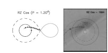 RZ Cas ın baş bileşeninin tayfsal gözlemleri (Fukuda, 1982; Lehmann et al.