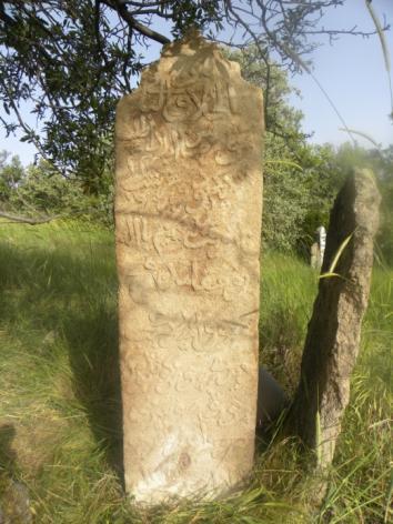 Fotoğraf: Mahmud Efendi nin baş