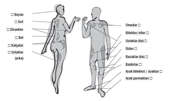 138 Ek. Ağrıya Bağlı Öz Derecelendirilmiş Fonksiyon Kaybı Ölçeği Türkçe versiyonu. Adı Soyadı (isteğe bağlı): Tarih: / / Şu anda nasıl hissediyorsunuz?