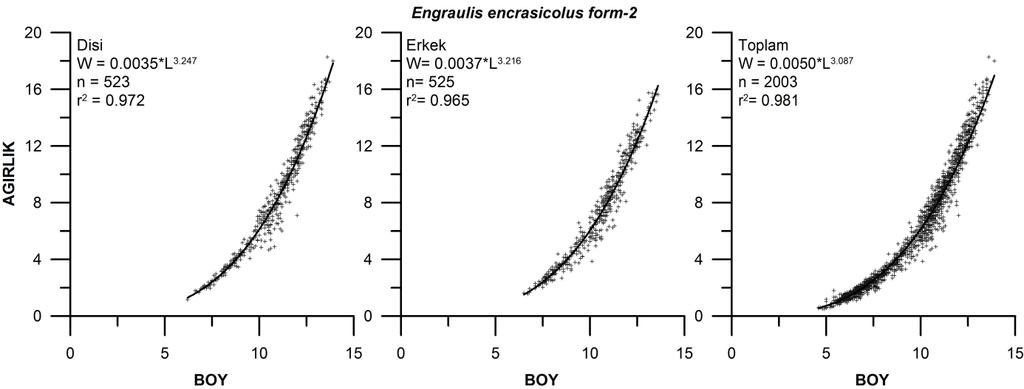 Şekil 89: Engraulis encrasicolus form-2 (hamsi) türünün dişi, erkek ve tüm bireylerine ait boy-ağırlık ilişkisi grafikleri Çalışmada 523 adet dişi, 525 adet erkek birey olmak üzere toplamda 2003 adet