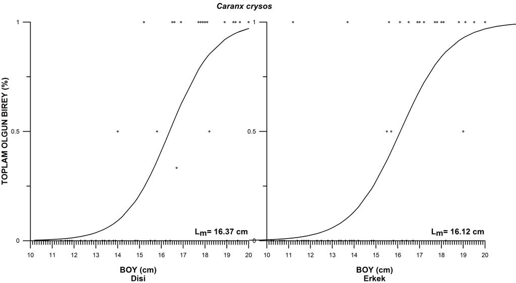 Şekil 101: Caranx crysos türünün dişi ve erkek bireylerine ait ilk eşeysel olgunluk boyları (L m) ve olgunluk grafik eğrisi Her nekadar elde edilen örnek sayısı ilk üreme boyunun tahmin edilebilmesi