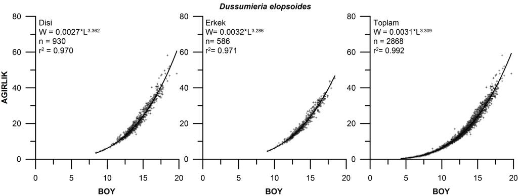 Dussumieria elopsoides - Sivriburun sardalya Çalışma boyunca incelenen Dussumieria elopsoides türüne ait dişi, erkek ve tüm bireyler için boy-ağırlık ilişkisi grafikleri Şekil 69 de verilmektedir.
