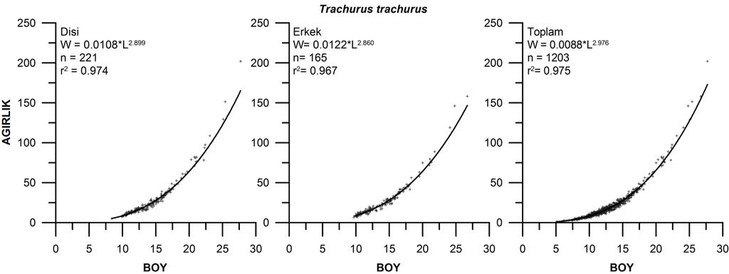 Trachurus trachurus- Karagöz istavrit Boy-Ağırlık ilişkisi Çalışma boyunca incelenen Trachurus trachurus türüne ait dişi, erkek ve tüm bireyler için boy-ağırlık arasındaki ilişkiyi ifade eden