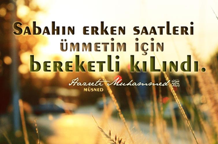 3.b.Fıtrata uygun Sirkadiyen ritmi tercih etmek 10 Sirkadiyen ritim (biyolojik saat), Nobel komitesi açıklamasında: Yeryüzünde hayat, gezegenimizin dönüşüyle uyumludur.