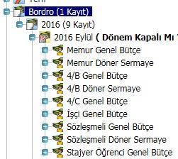 gelir. İşlem yapılacak dönemin başında bulunan + simgesine tıklandığında Memuriyet tiplerine göre maaş listeleri açılır.