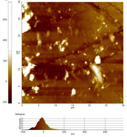 örneklerinin AFM