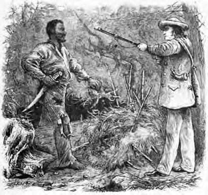 çaplı siyahi köle ayaklanması 1800 yılında Virginia da yaşandı.
