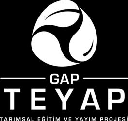 GAP TEYAP