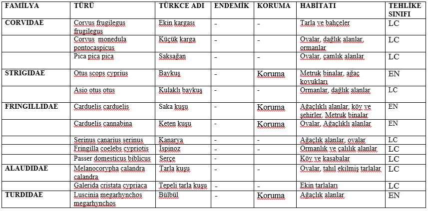 (Kuşlar) Tablo 12 Proje alanı 