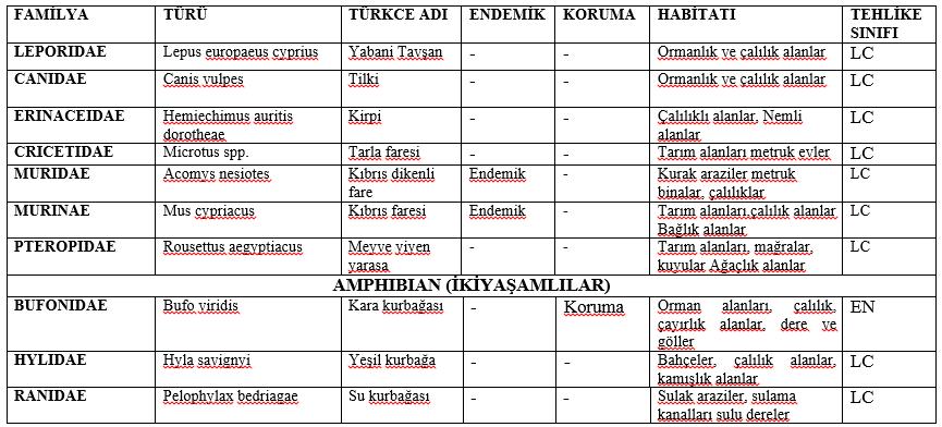 Tablo 13 Proje alanı çevresinin fauna