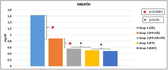 Bulgular Grup 1 (SİS): 1.63 ± 1.07 Grup 2 (PP+SİS): 0,88 ± 0.