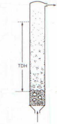 96 adlandırılabilir. TDH üzerinde tutulan reaktör uzunluklarında katı taşınımı beklenmemektedir (Şekil 5.6). Şekil 5.6. Serbest taşınım yüksekliği (TDH)[Daizo ve Octave,1991] Küçük tanecikli akışkan