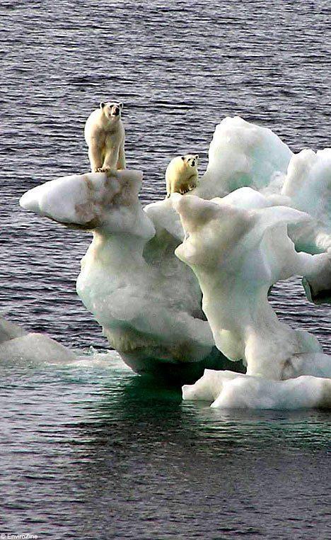 2040 yılına kadar veya çok daha erken bir tarihte Kuzey Kutbunun tamamen buzsuz kalacağı