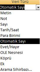 Veri tabanında tutulan kayıtların yapısı ile ilgili fikir sahibi olmak için kullanılacak olan alanların birtakım özelliklerinin önceden tanımlanmış olması gerekmektedir.