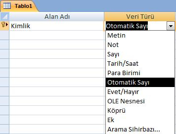 12: Tabloların alabileceği veri türleri Tasarım görünümünde tablo oluşturma esnasında alanlar belirlenirken veri türlerinin de belirlenmesi gerekmektedir.