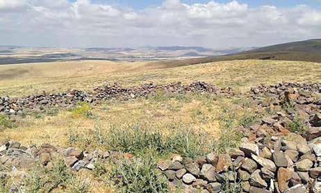 hatiye dizîn, ji dizan didizîye û didaye xwedîya. Qereqolê bajarokan jî, dema li diza digerin cara pêşîn dihatine ji Çîno alîkarî dixwastine.