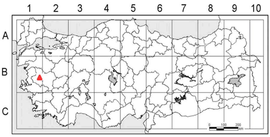 MATERYAL ve YÖNTEM Araştırmada kullanılan bitki örnekleri Türkiye' de B1 karesinde doğal yayılış gösterdiği yerlerden toplanmıştır (Çizelge 1, Şekil 2).