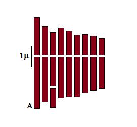 Kromozomlarda sentromer pozisyonu altı numaralı kromozom haricinde median bölgeli yapıda olup altı numaralı kromozomda sub median kromozom belirlenmiştir.