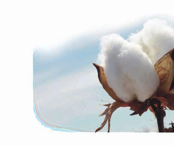 15 PAMUK VATKA Pamuk Vatka Kolay işlenebilen liflerin başında gelen pamuk en çok tercih edilen dolgu ve kumaşlar arasındadır.