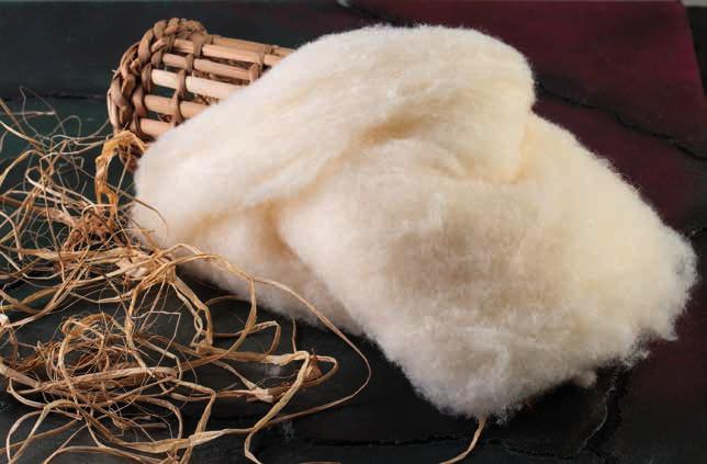 37 SOYA VATKA Soya Vatka Çinliler tarafından, insan eliyle yapılmış ilk tekstil lifi olan soya, tekstil endüstrisindeki birçok uzman tarafından 20.yy.