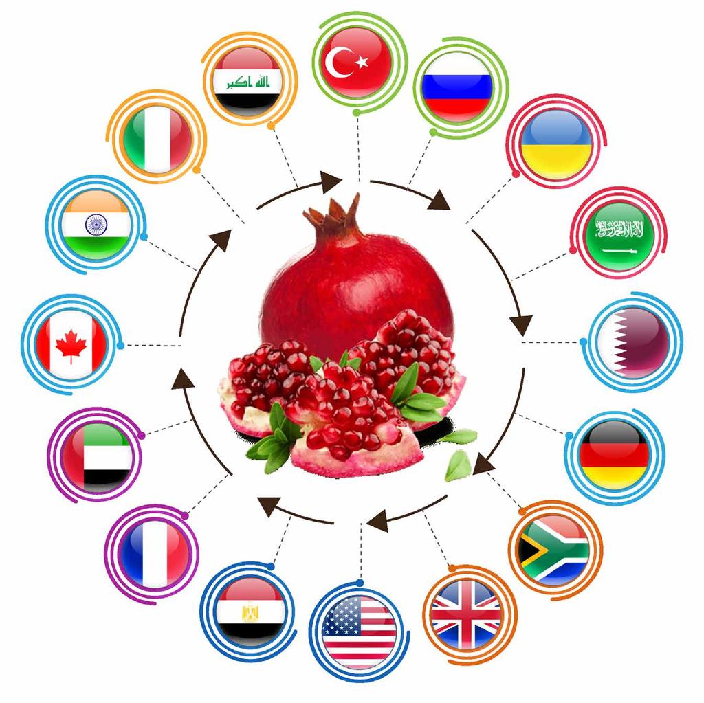 Azexport.az portalı vasitəsi ilə Azərbaycandan nar və ondan istehsal edilən məhsulları sifariş edən əsas ölkələr 2017-ci ilin 11 ayı ərzində Azexport.