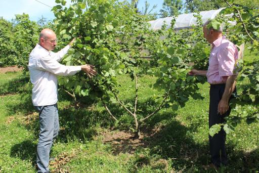 aralarında Meclis Başkanı, Meclis Başkan Yardımcısı ve Yönetim