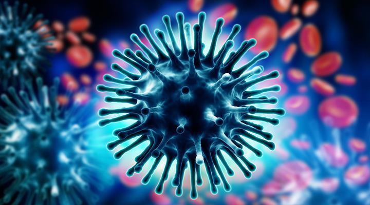 İnfluenza Atakların %5-29