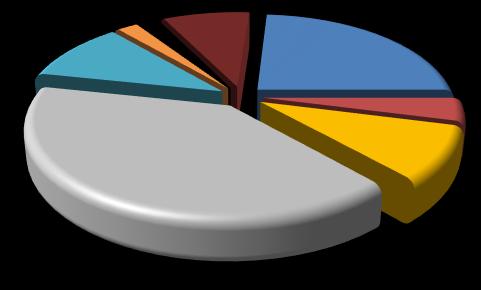 217 yılında ekonomik canlanma sonucu vergi gelirlerindeki artış bütçe gelirlerinin artmasını sağlasa da ekonomiyi canlandırmak için uygulanan genişleyici maliye politikaları sonucu özellikle cari