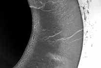 Colloids Bacteria Dissolved Organics Antibiotics Giardia 0,0001 0,001 0,01 Microns (Log Scale) 0,1 1