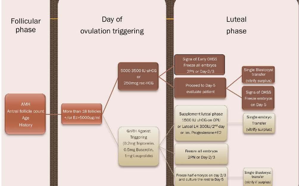 New Proposed algorithm for OHSS prevention and treatment