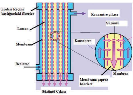 26 5.3. Membran Modül Konfigürasyonları 5.3.1. Hollow fiber membran modülü vd., 2009).