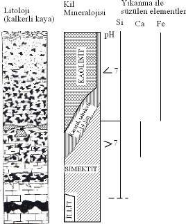 Şekil 37. Ayrışma zonlarında hidrolitik şartlar altında kaynak kaya üzerinde gelişen kil minerallerinin alttan üste doğru dizilimi (Thiry vd 1977).