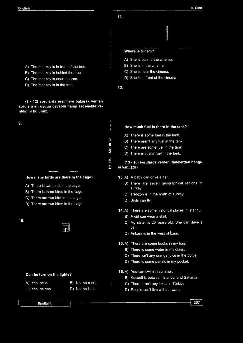 English I 6. Sınıf 11. Where is Sinem? A) The monkey is in front of the tree. B) The monkey is behind the tree. C) The monkey is near the tree. D) The monkey is in the tree.