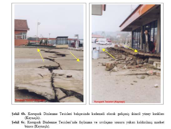 1999 Düzce depremi sonrası (Demirtaş vd.