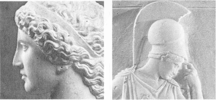 Genel ayrıntılar! Genel ayrıntılar Polykleitos'a atfedilen bu örnekte görüldüğü gibi bütün Yunan heykellerinde alın çizgisi burnun ucuna kadar hemen hemen düz olarak devam eder. İ.Ö.