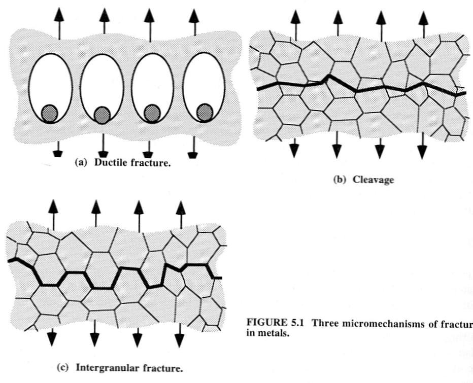 Metallerin Kırılmasında Temel Mekanizmalar-Özet Transgranular Transgranular Intergranular Gazi