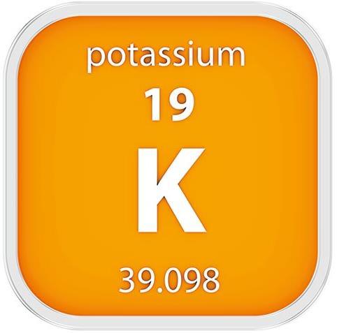 Hücre içi 155 meq K Normal Serum 3.5-5.5 meq K Potasyum, hücre içi en önemli katyon.