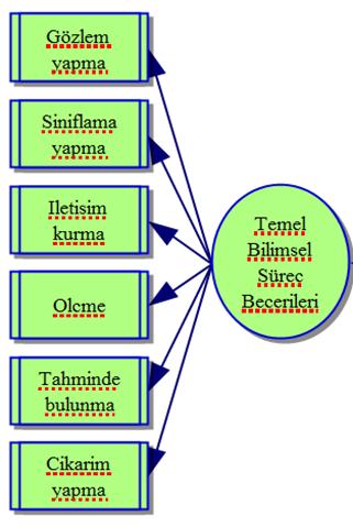 TEMEL BİLİMSEL SÜREÇ BECERİLERİ Gözlem yapma Sınıflama