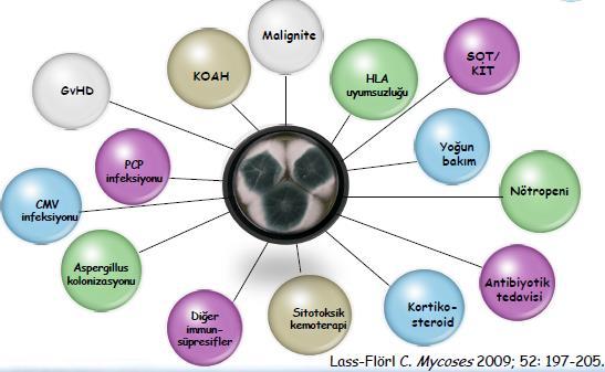 İnvazif Fungal Enfeksiyonlar (IFE) Kritik hastalar İFE açısından risk