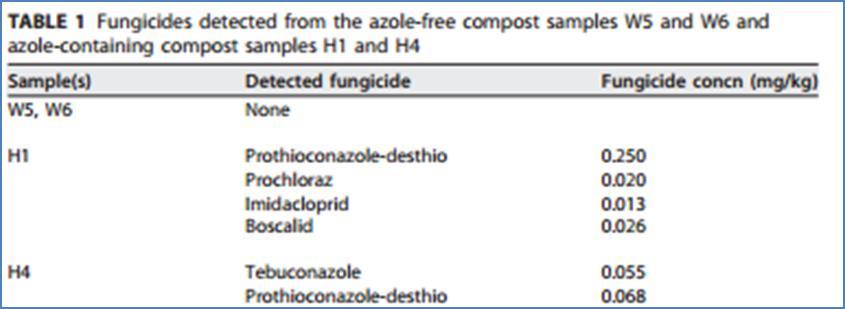 «GC-MS/MS» ve «LC-MS/MS» yöntemleri ile bakılmış Tabloda görüldüğü gibi azol bulundurmayan kompostta gerçekten fungisite